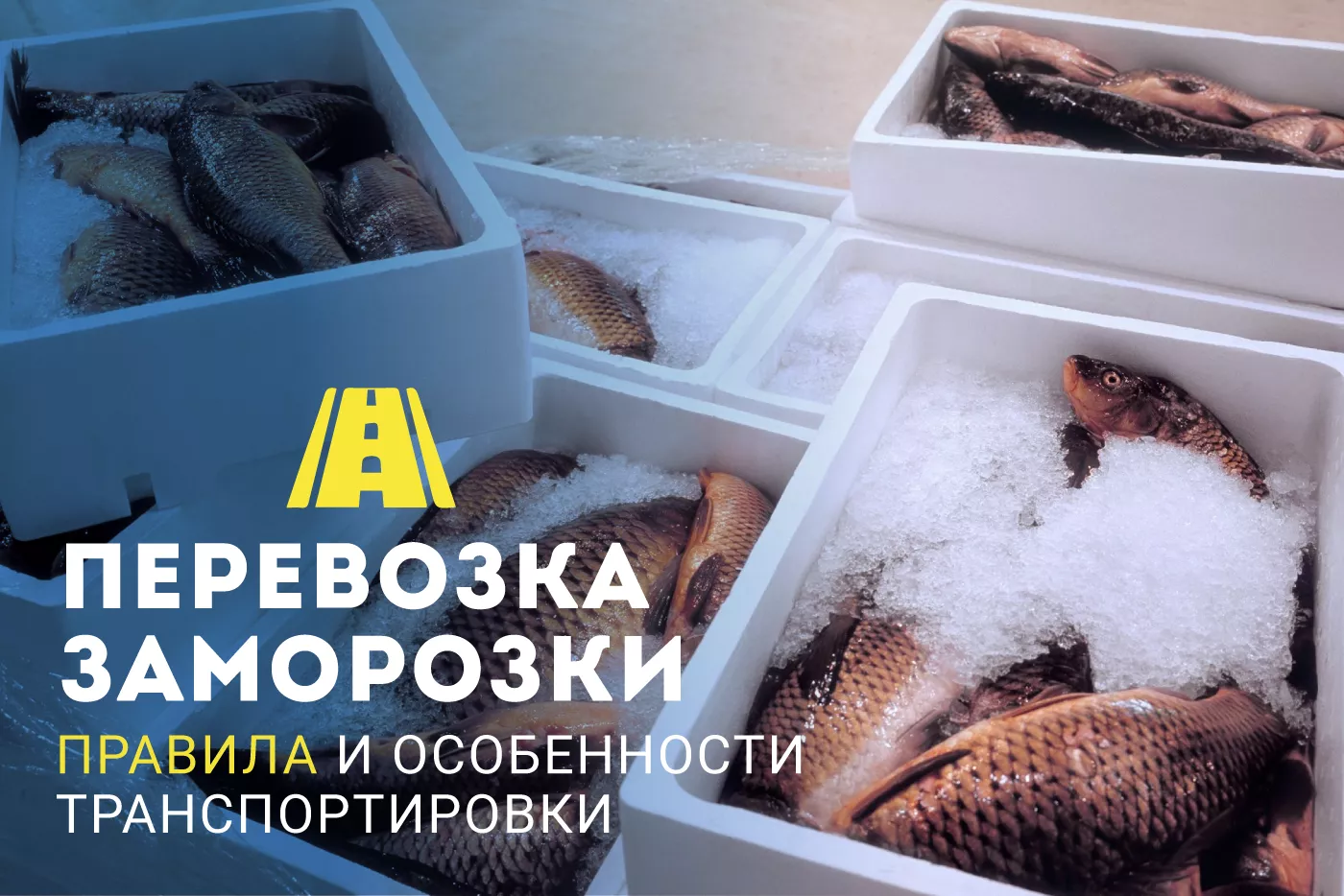 Особенности перевозки замороженной и охлажденной продукции